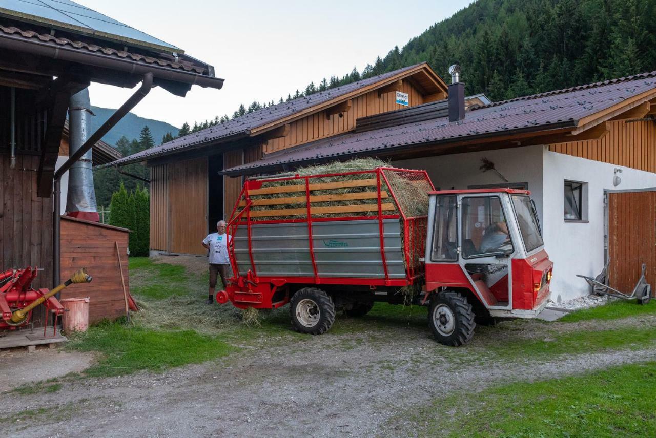 Ottohof - Feldblick Lejlighed Colle Isarco Eksteriør billede